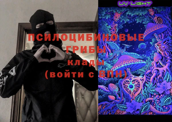 spice Дегтярск