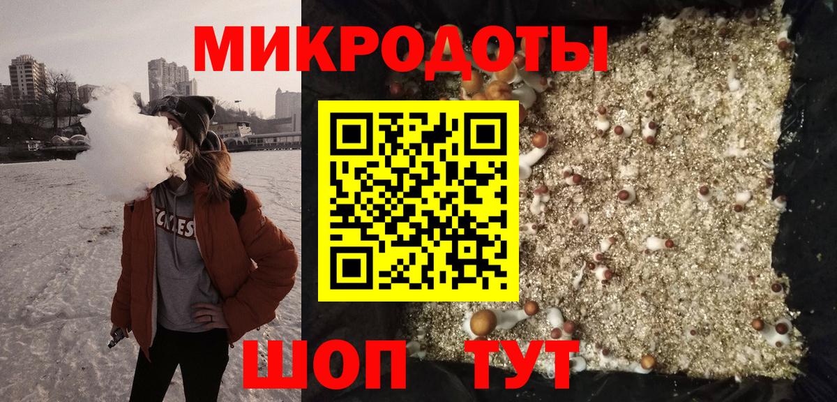 Рузаевка  Псилоцибиновые грибы Psilocybe  Вход с VPN 